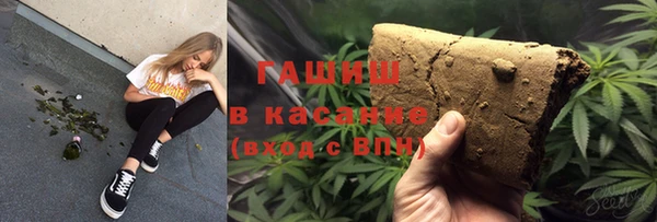 прущие грибы Гусиноозёрск