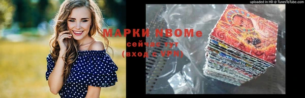 прущие грибы Гусиноозёрск