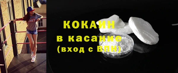 прущие грибы Гусиноозёрск
