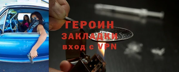 прущие грибы Гусиноозёрск