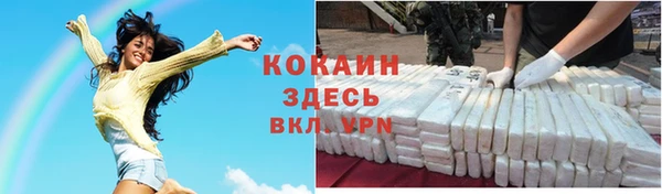 прущие грибы Гусиноозёрск
