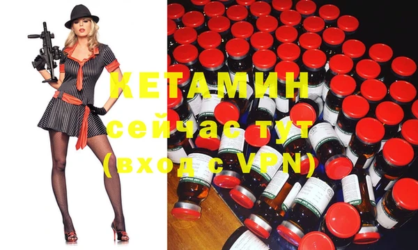 прущие грибы Гусиноозёрск