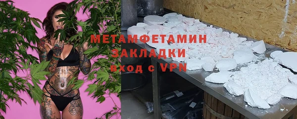 прущие грибы Гусиноозёрск