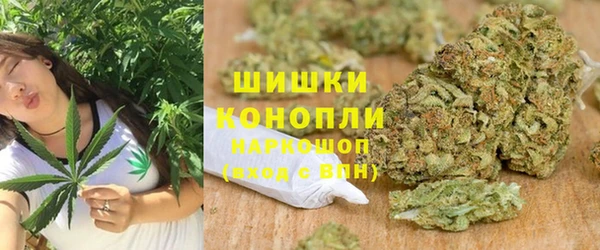 прущие грибы Гусиноозёрск