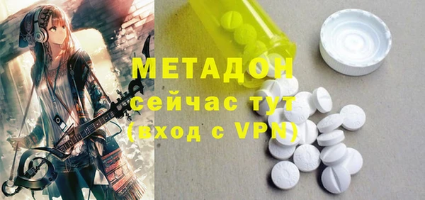 прущие грибы Гусиноозёрск