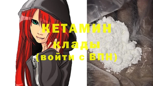 прущие грибы Гусиноозёрск