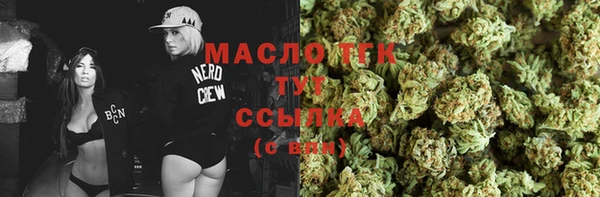 тгк Гусь-Хрустальный